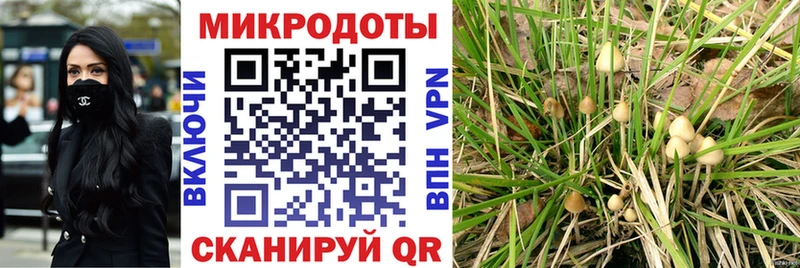 купить  сайты  Урай  Галлюциногенные грибы Psilocybine cubensis 